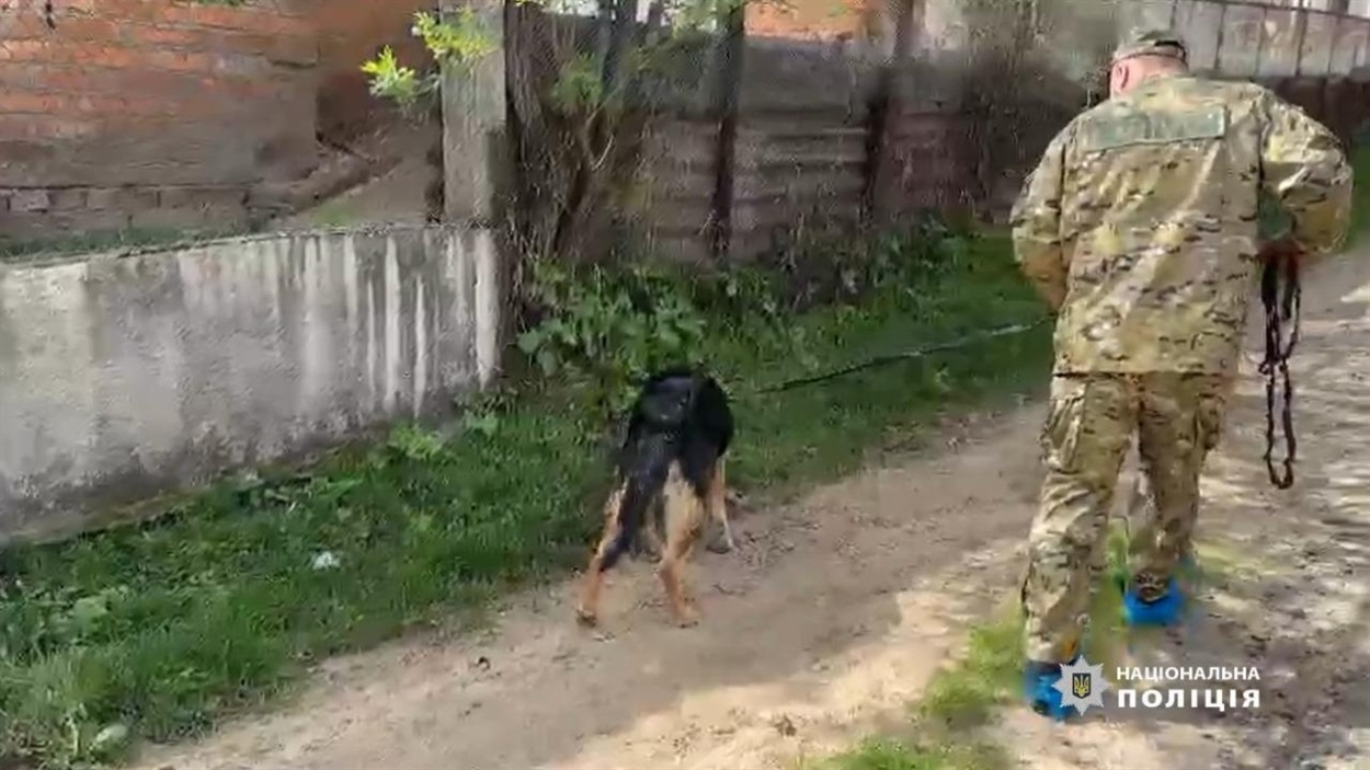Поліція розслідує вбивство матері та дитини, Одещина 
