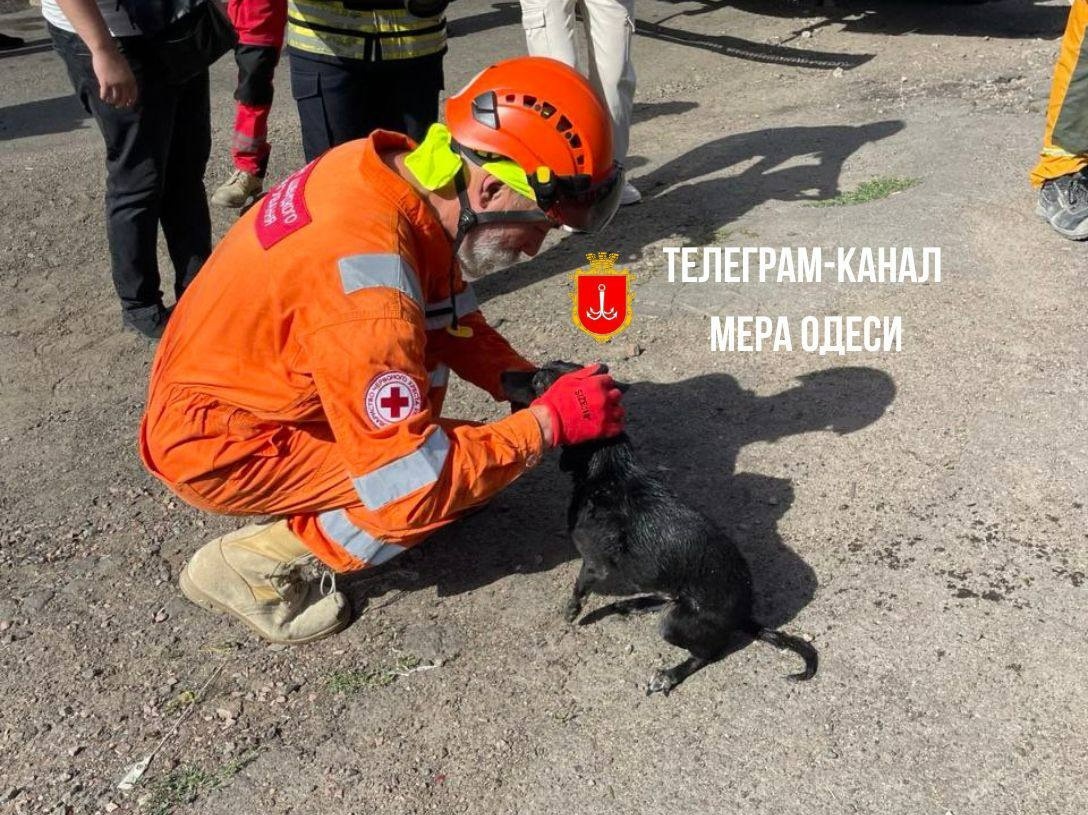 Удар по Одесі 24 червня 2024 