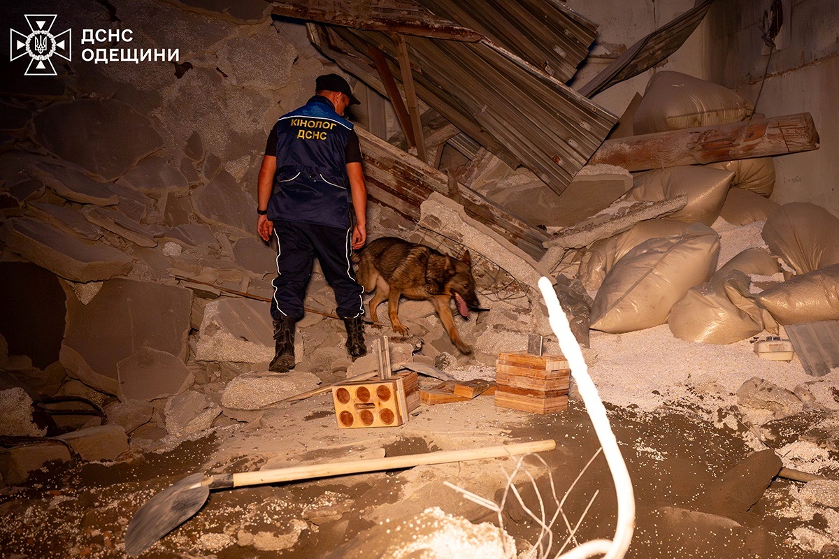 Обвалилася будівля на території порту, Одеса 