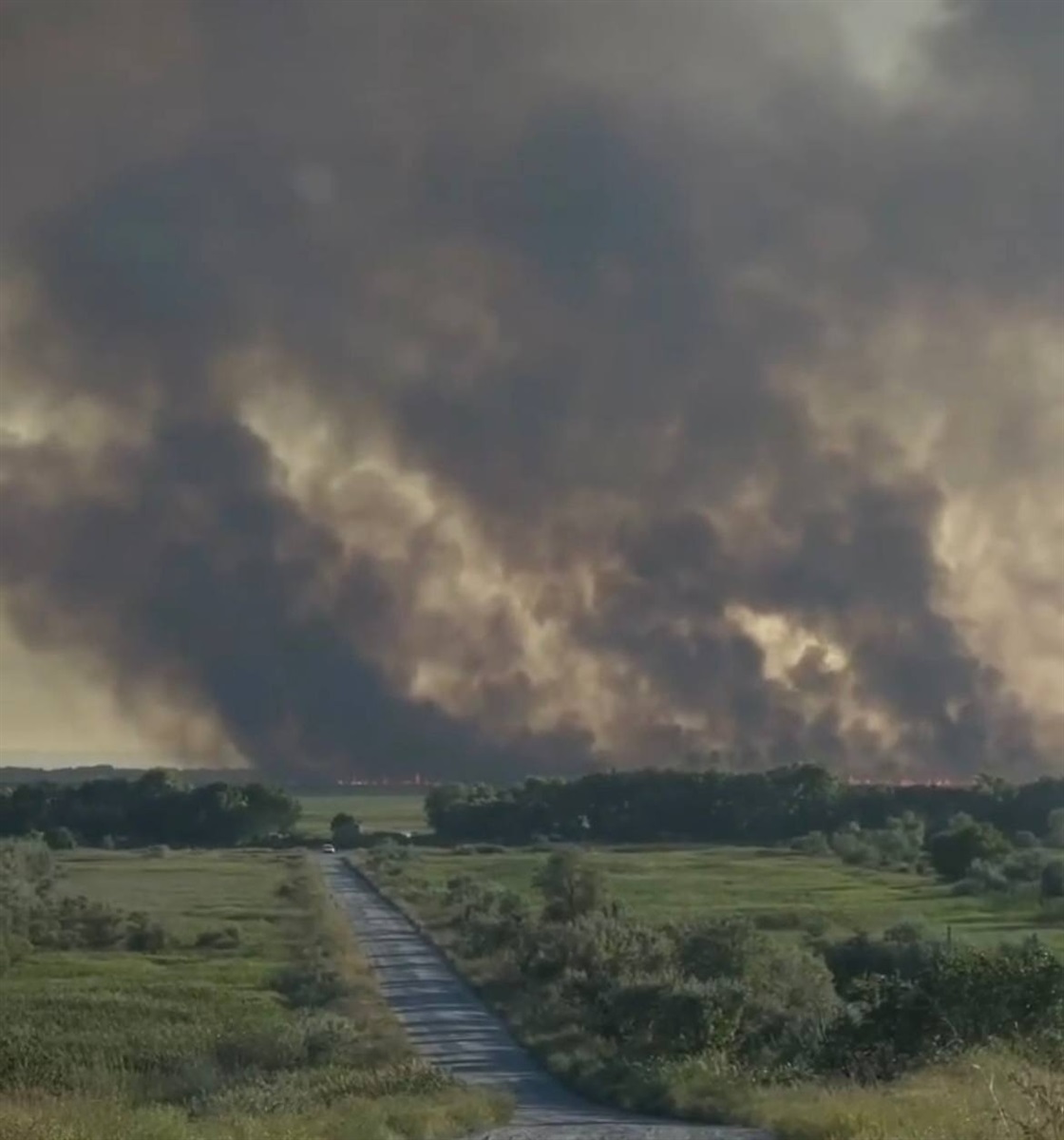 Пожежа у плавнях, скріншот з відео Марини Бачуліс, Біляївка 