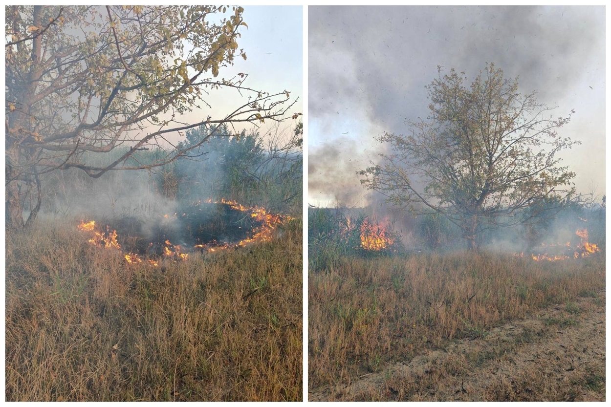 Масштабна пожежа в плавнях Біляївка Мяки Яськи