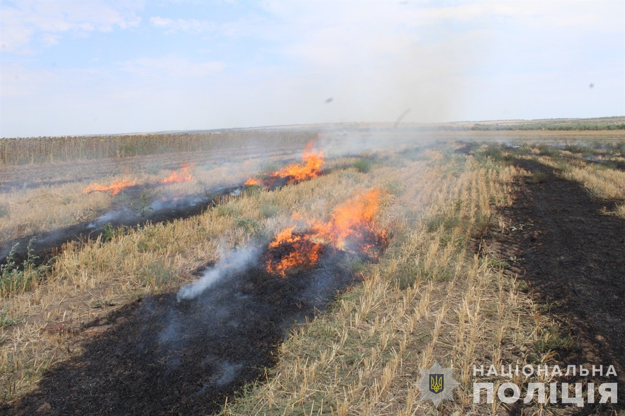 Затримали паліїв сільгоспугідь Одещина