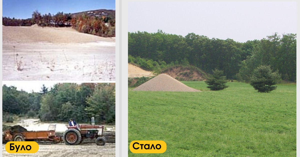 Ділянка видобутку гравію, відновлена ​​для виробництва сіна, 2006, центральна частина Массачусетса (США)