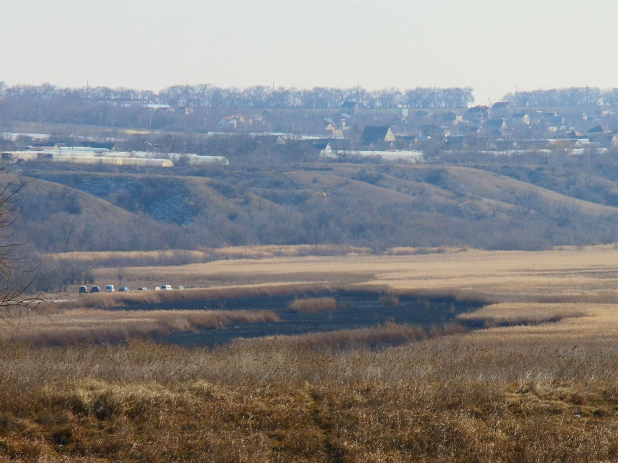 Пожежі у плавнях, фото  Нижньодністровського нацпарку 
