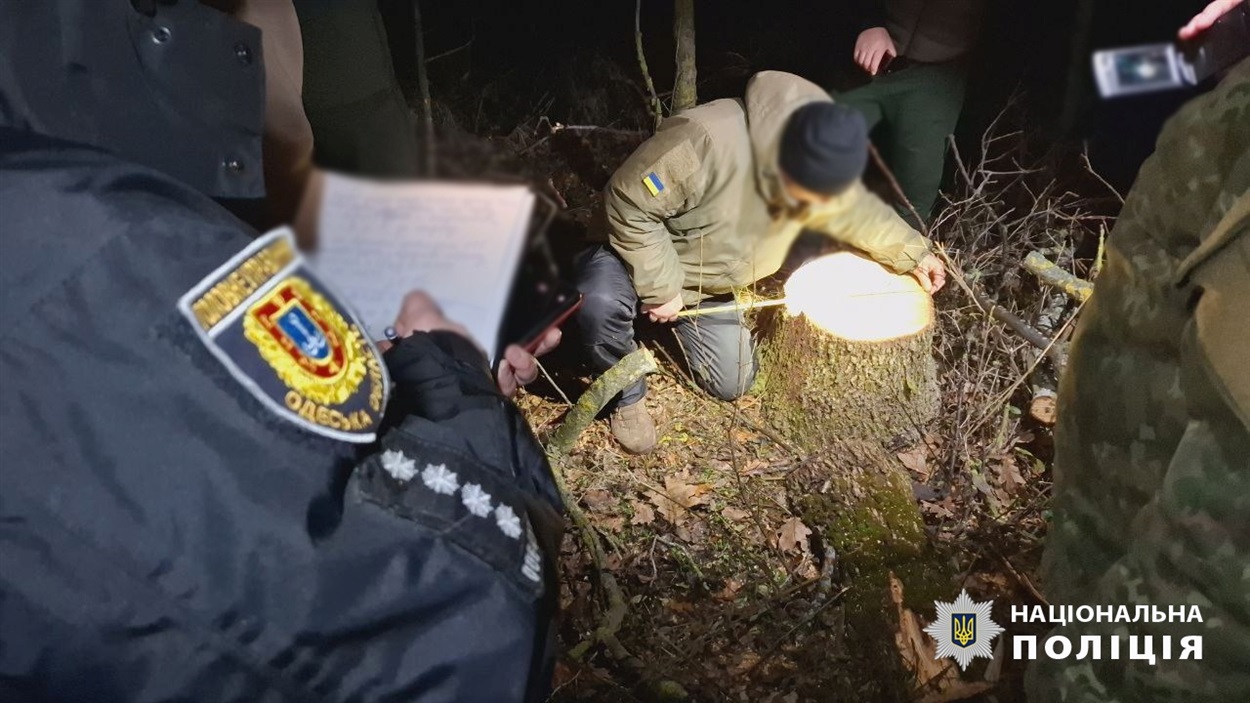 Викрили групу "чорних лісорубів", Одещина 
