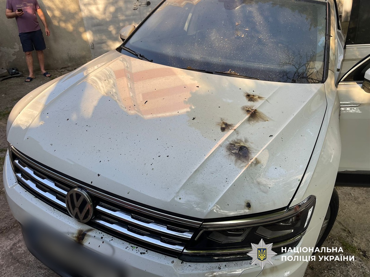Внаслідок підпалу постраждав автомобіль та гараж 