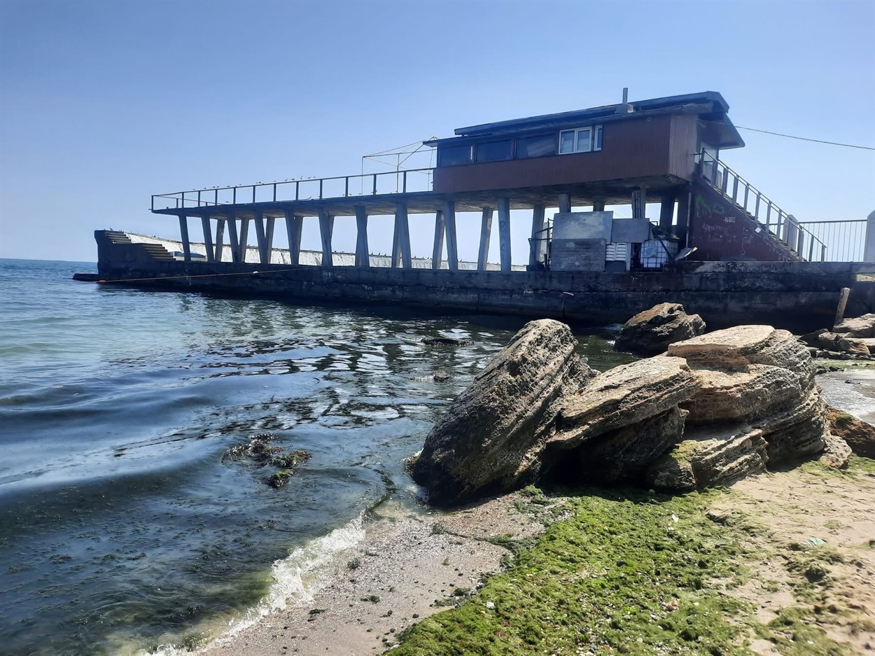 Чорне море, водорості на узбережжі, шукають причину
