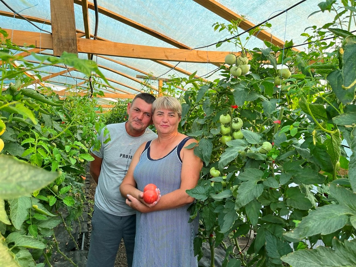 Микола та Альона Іванови