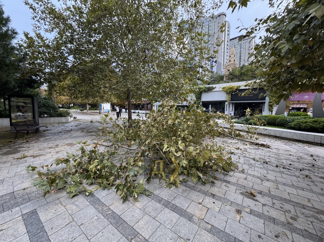 ФОТО: уроки негоди для Одеси. На загибель людей відреагував Президент Зеленський та вчені