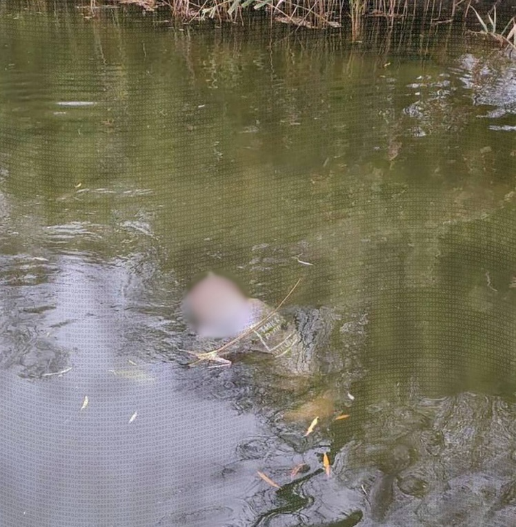 Знайшли тіло чоловіка у Турунчуку Біляївка