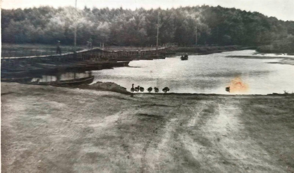 Біляївка, 1950 рік