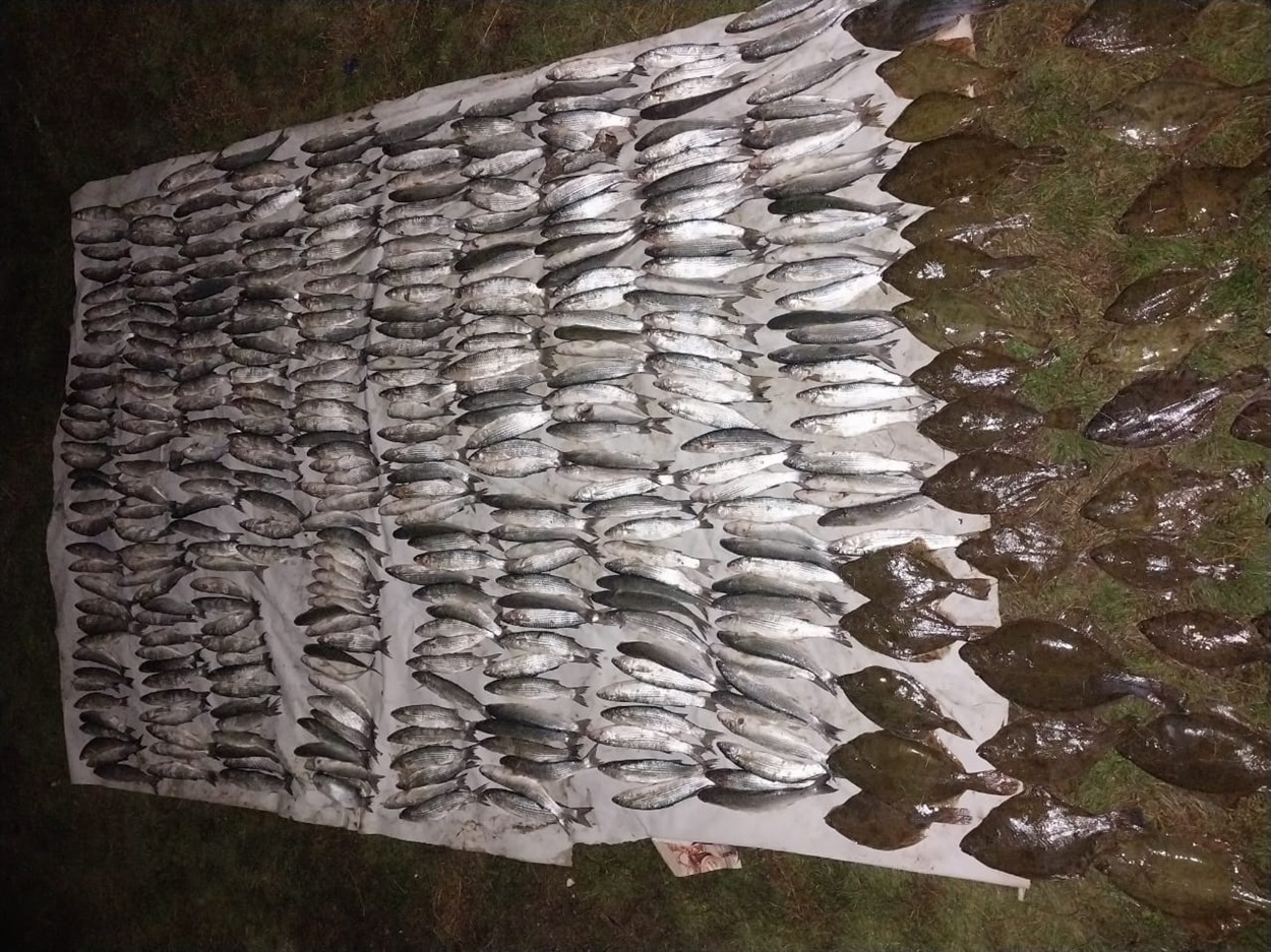 Затримали браконьєра, незаконний улов на 8 млн грн Одещина 