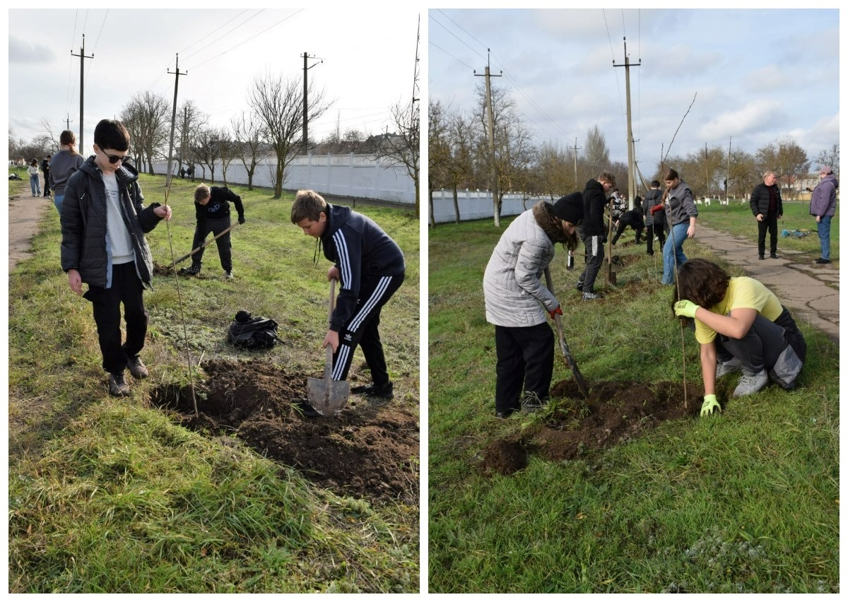 У Біляївці висадили Алею сакур: 50 нових дерев прикрасили місто