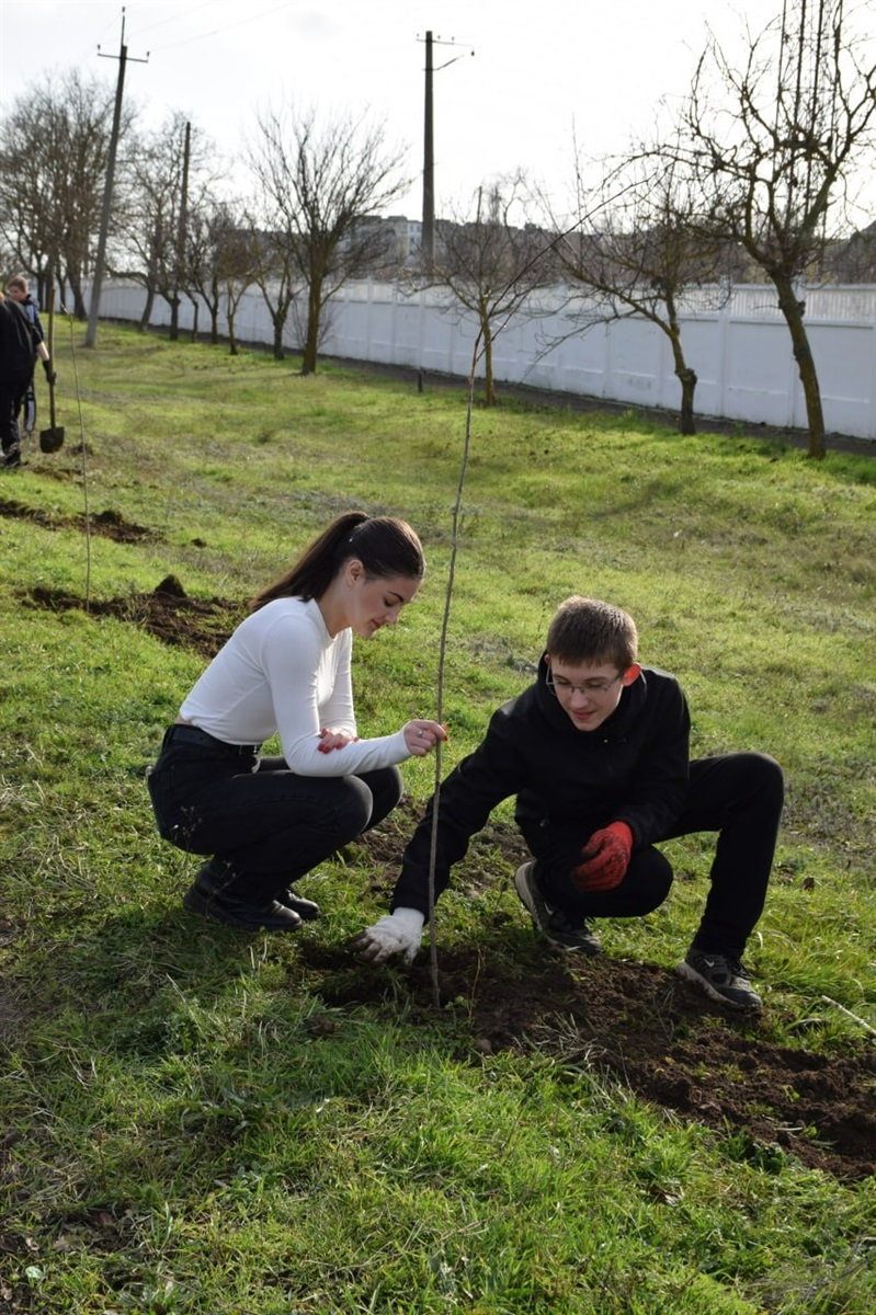 У Біляївці висадили Алею сакур: 50 нових дерев прикрасили місто