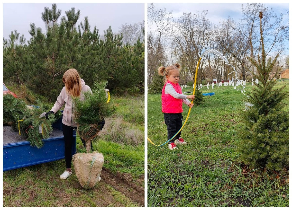 У Повстанському квітне ініціатива: як Катерина Домброван сім років озеленює рідне селище