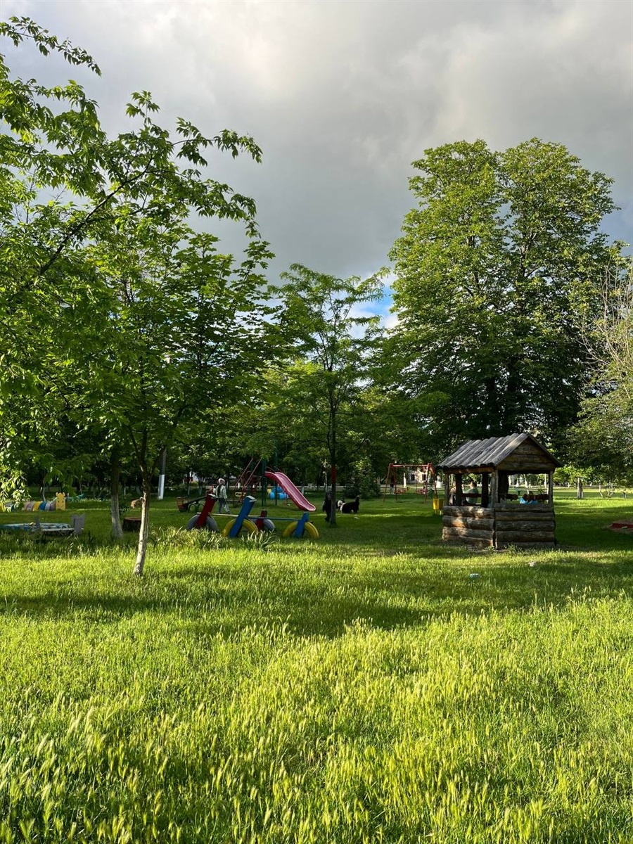 У Повстанському квітне ініціатива: як Катерина Домброван сім років озеленює рідне селище