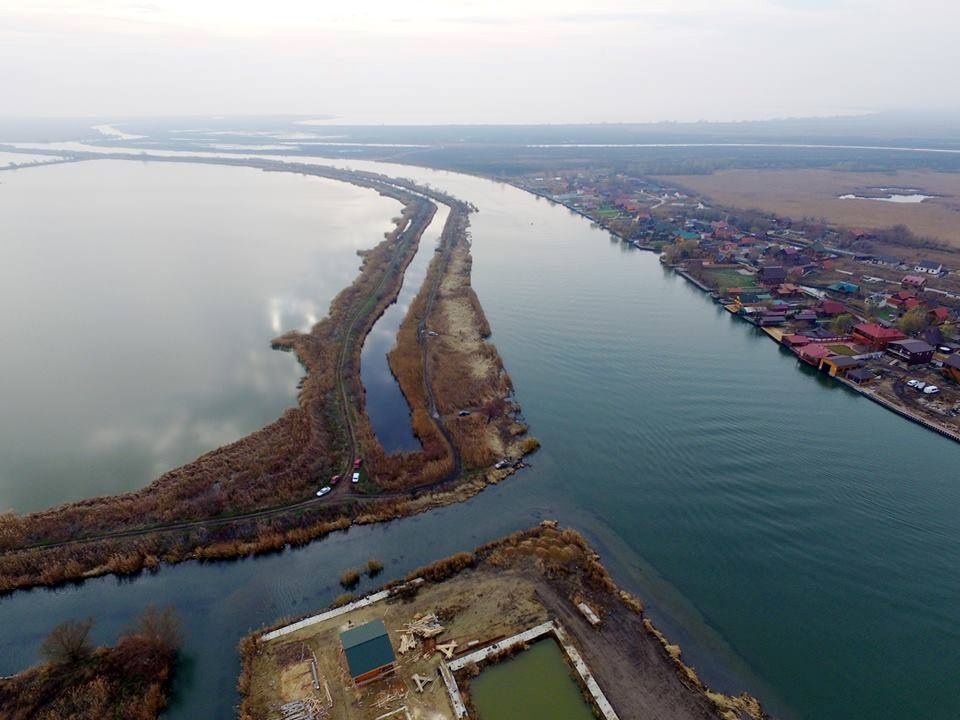 Фото 2015 року, заплава Дністра