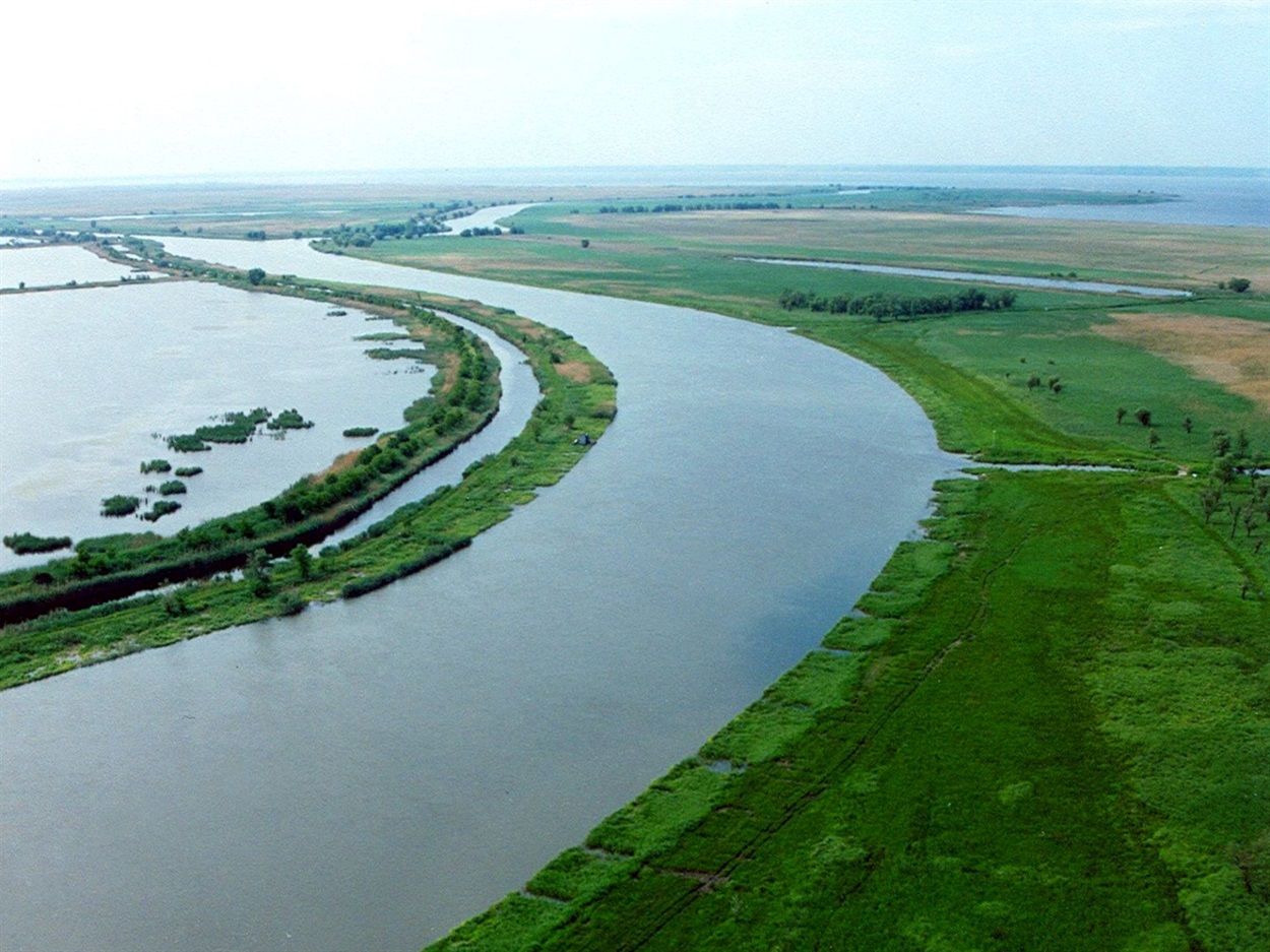 Фото 1995 року, заплава Дністра