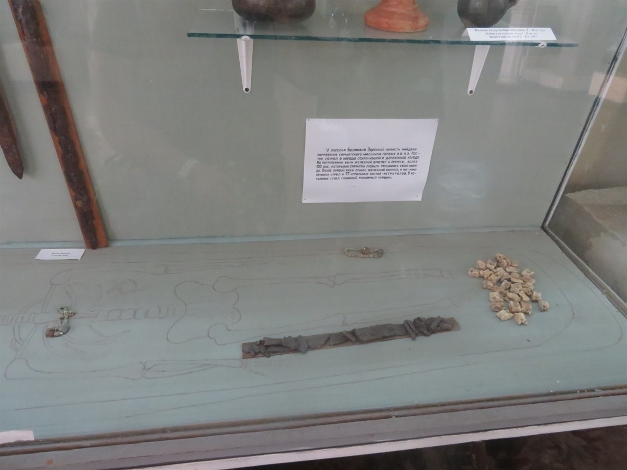 Фото з Одеського археологічного музею. Напис засвідчує, що у селищі Біляївка Одеської області знайдено поховання сарматського хлопчика перших століть нашої ери.