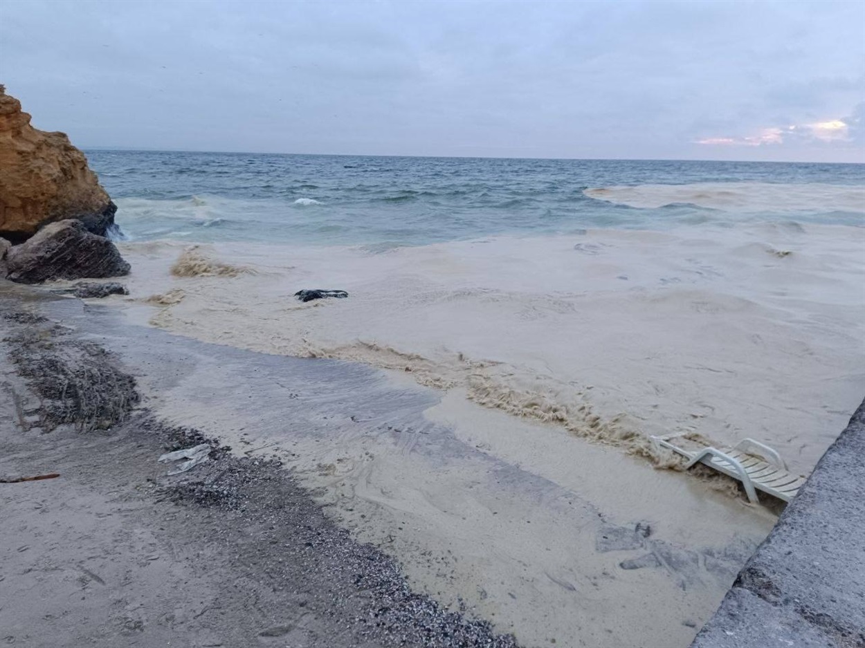 Екологічна катастрофа в Одесі: узбережжя затоки вкрите соняшниковою олією, гинуть птахи