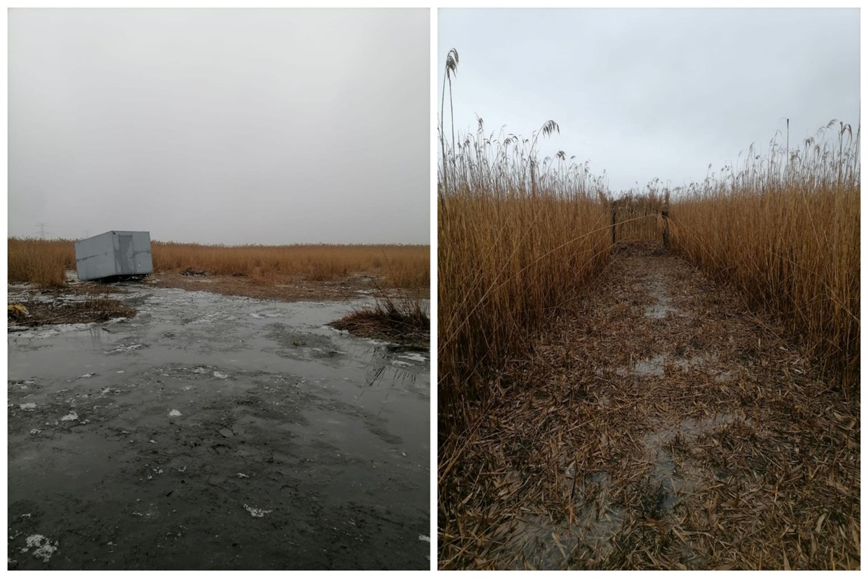 Засідка для полювання і фермерство в нацпарку : у Нижньодністровському НПП виявили грубі порушення