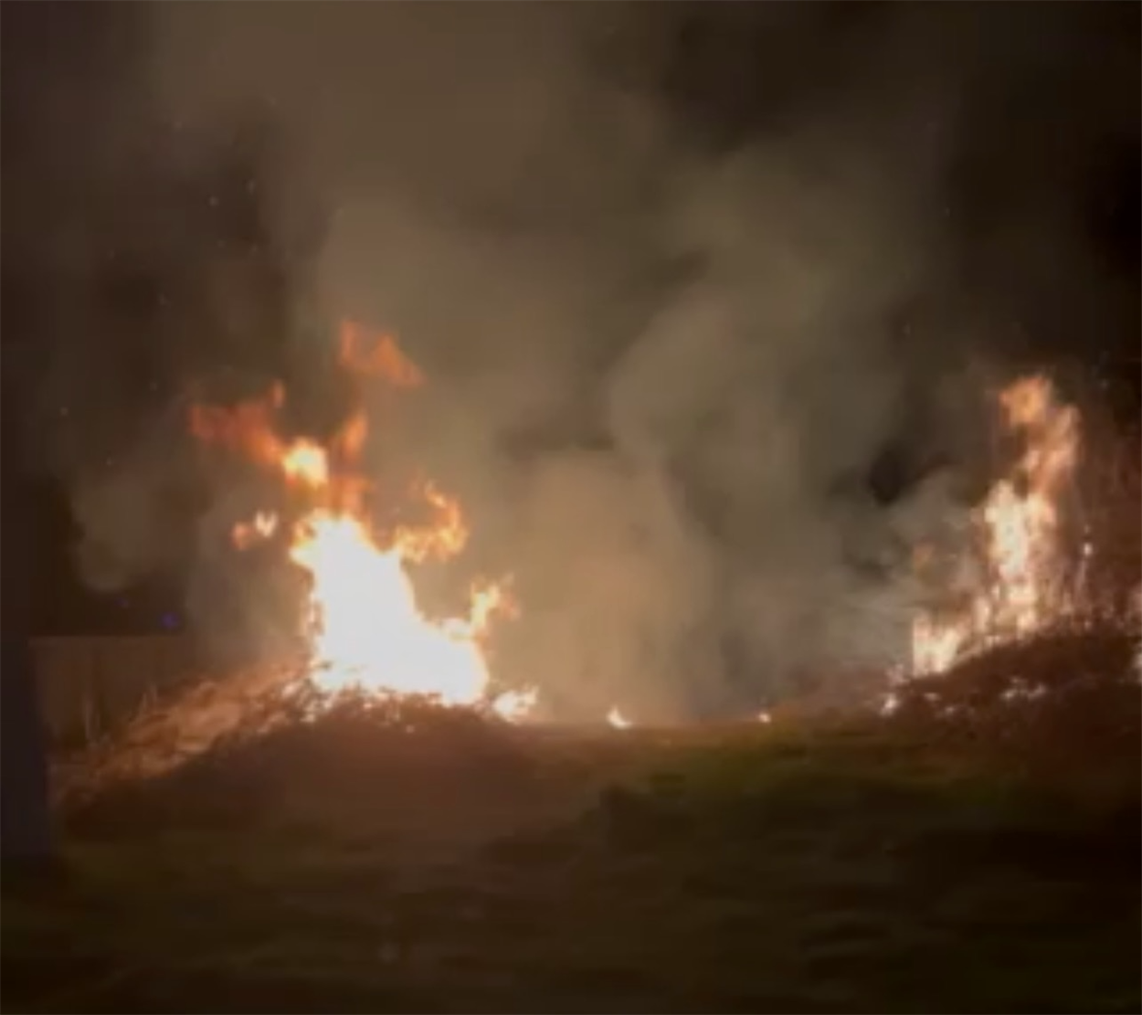 Пожежа на узбіччі вулиці Біляївка