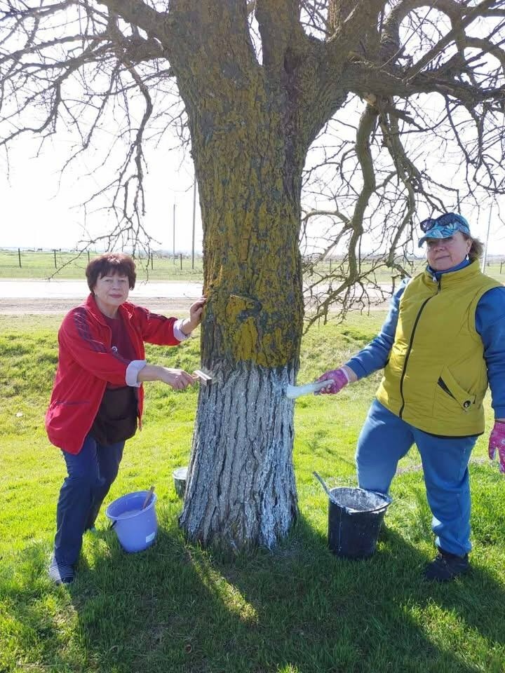 Колективи Біляївки вийшли на загальноміську толоку: прибирали парки, меморіали, квітники