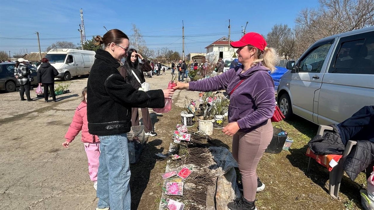 Ярмарок Біляївка квітень 2026