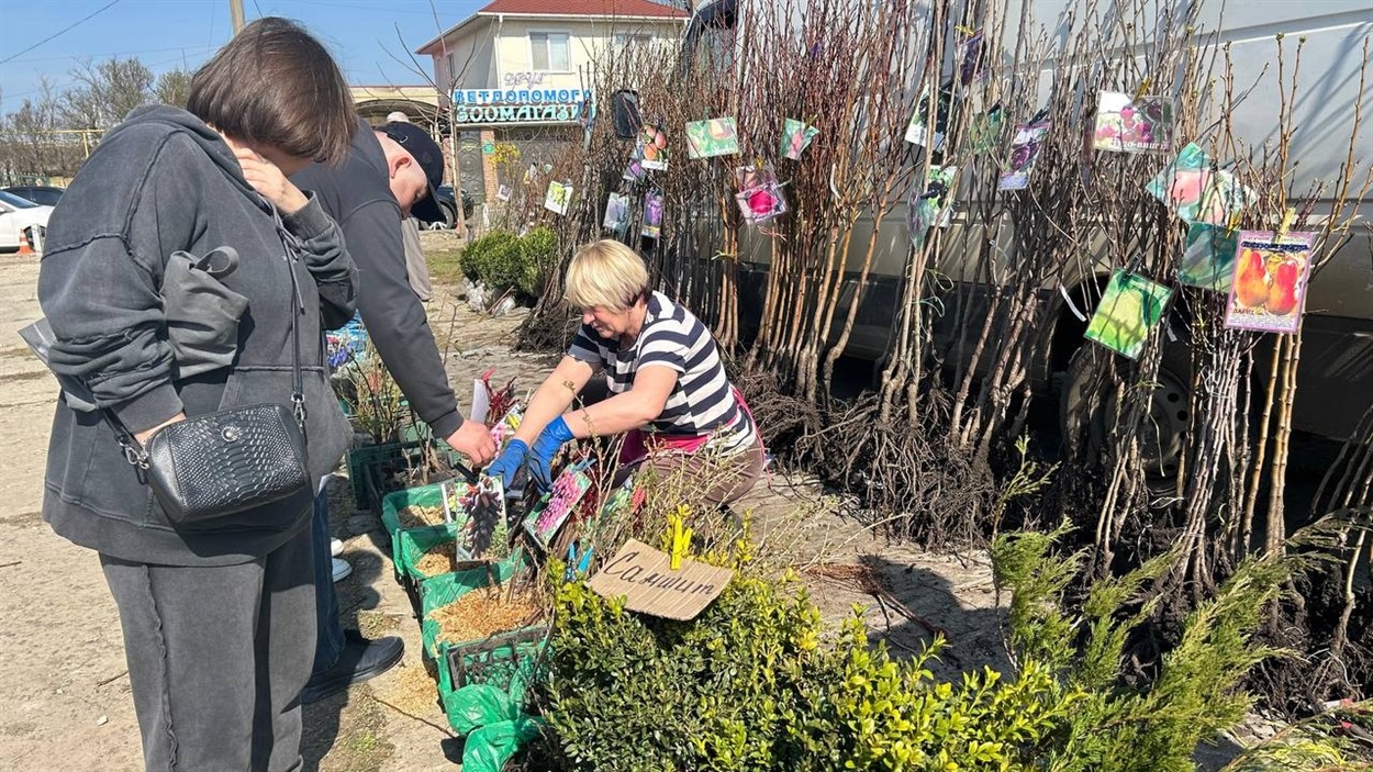 Море саджанців, м’ясні делікатеси та домашні смаколики: як пройшов весняний ярмарок у Біляївці