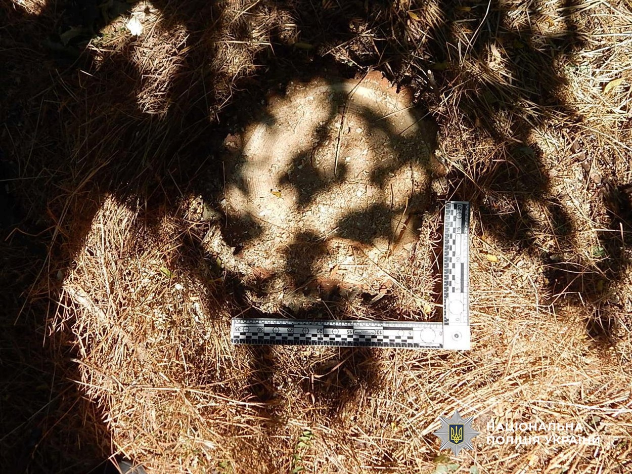 Двоє мешканців Біляївської громади спиляли 206 дерев для продажу: їм загрожує до 7 років