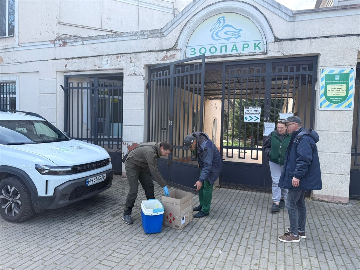 Біля Чорноморська зафіксували забруднення моря олією: інспектори рятували птаха
