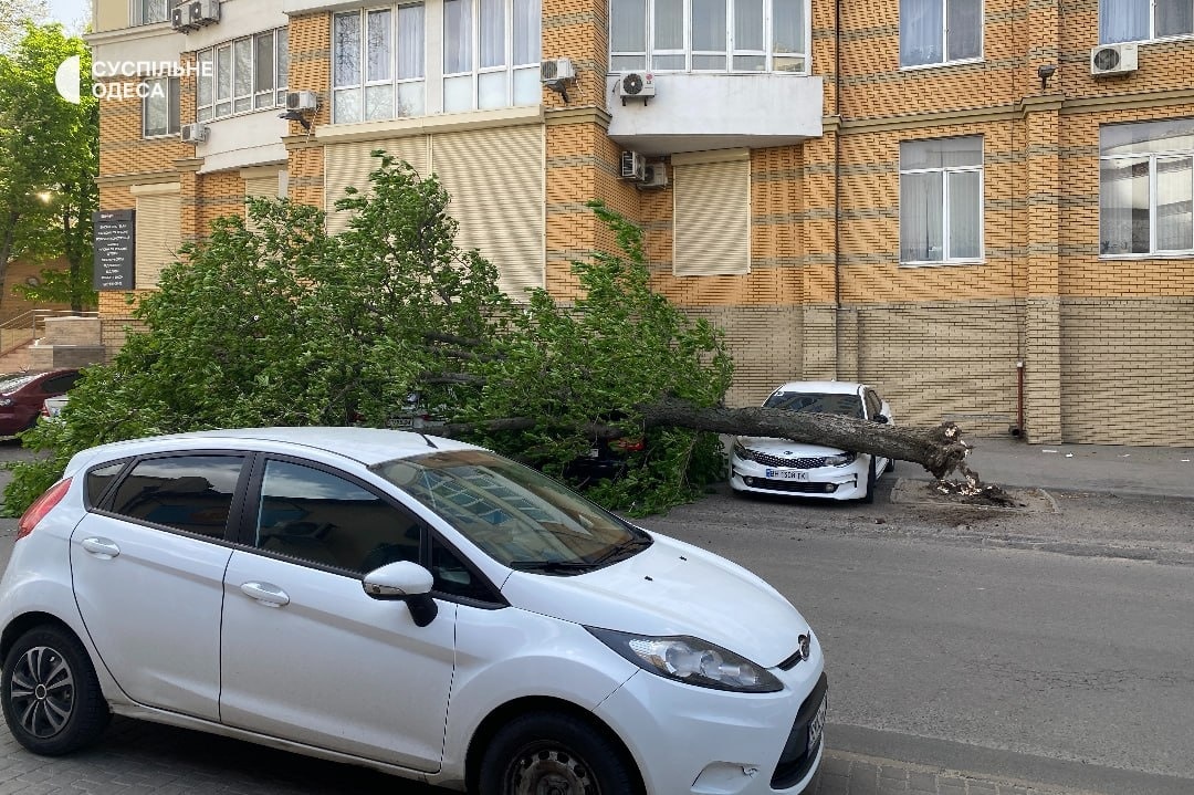Сильний вітер і пилова буря: на Одещині повалені дерева, пошкоджені будівлі та знеструмлення