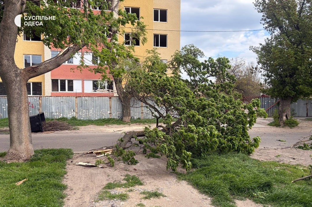 Сильний вітер і пилова буря: на Одещині повалені дерева, пошкоджені будівлі та знеструмлення