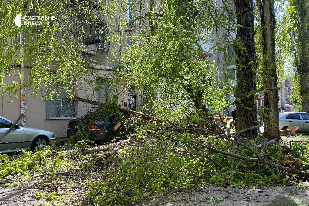 Сильний вітер і пилова буря: на Одещині повалені дерева, пошкоджені будівлі та знеструмлення