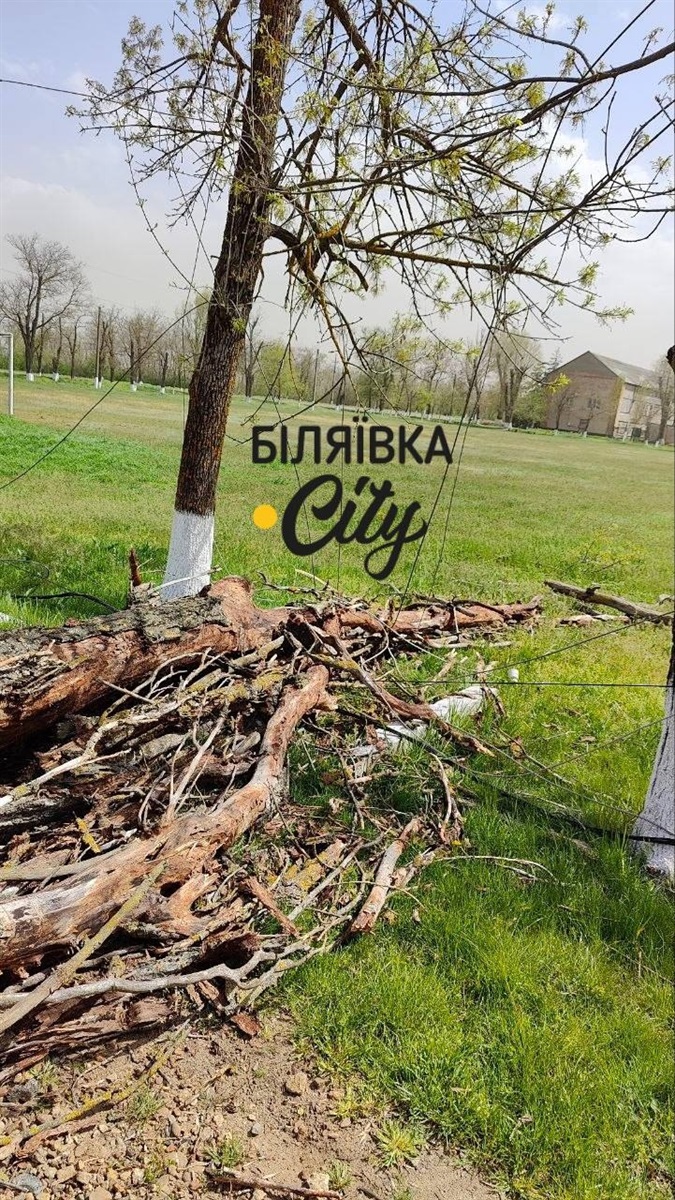 Сильний вітер і пилова буря: на Одещині повалені дерева, пошкоджені будівлі та знеструмлення