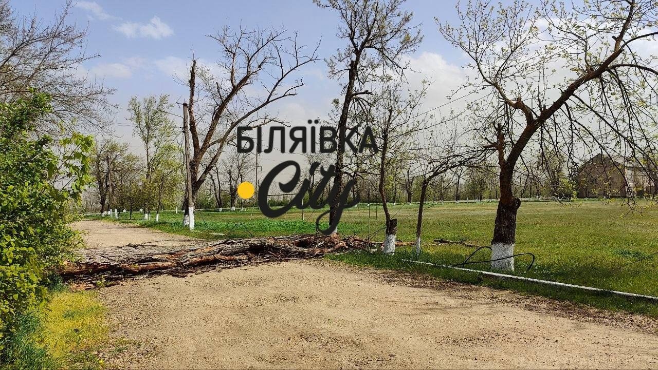 Сильний вітер і пилова буря: на Одещині повалені дерева, пошкоджені будівлі та знеструмлення
