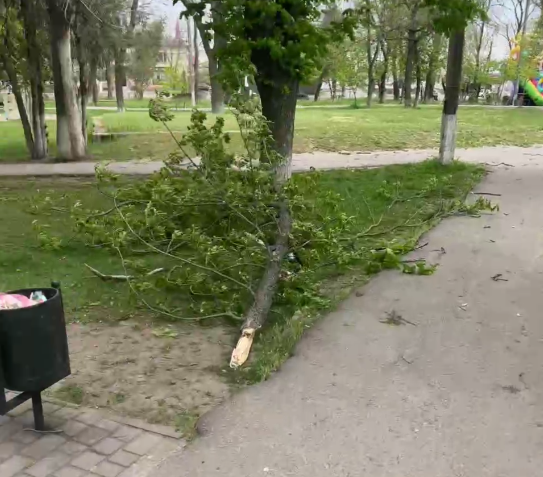 Сильний вітер і пилова буря: на Одещині повалені дерева, пошкоджені будівлі та знеструмлення