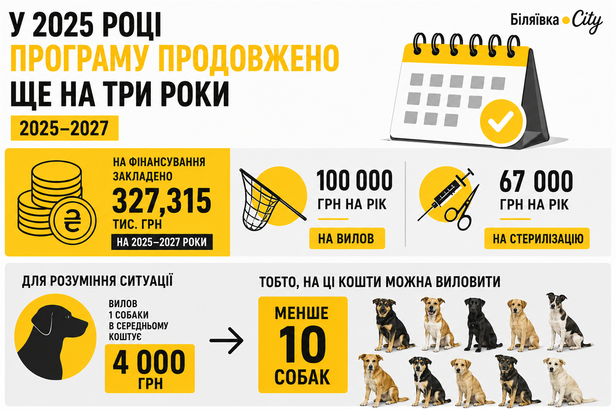 Чому Біляївка не може впоратися з безпритульними собаками: помилки, які провалили вирішення проблеми