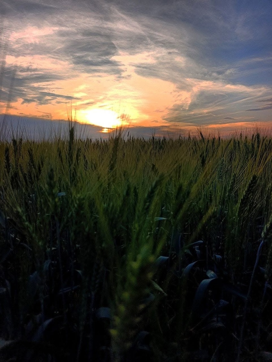 У Повстанському провели фотоконкурс: природа очима дітей