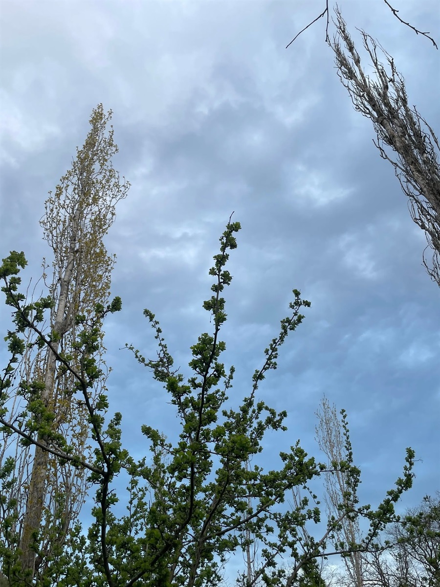 У Повстанському провели фотоконкурс: природа очима дітей