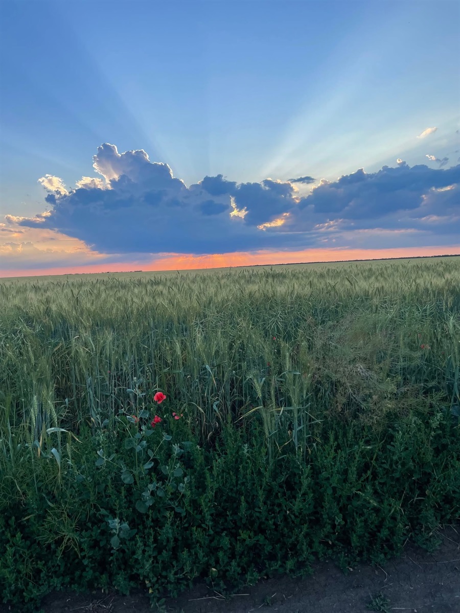 У Повстанському провели фотоконкурс: природа очима дітей