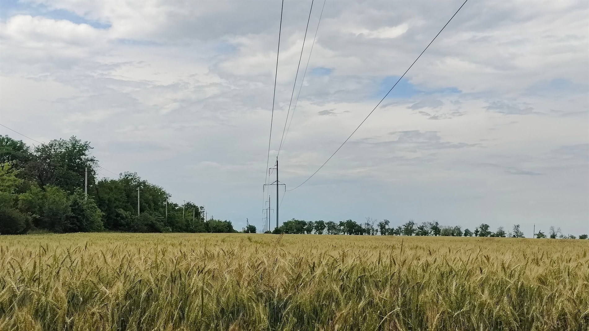 У Повстанському провели фотоконкурс: природа очима дітей