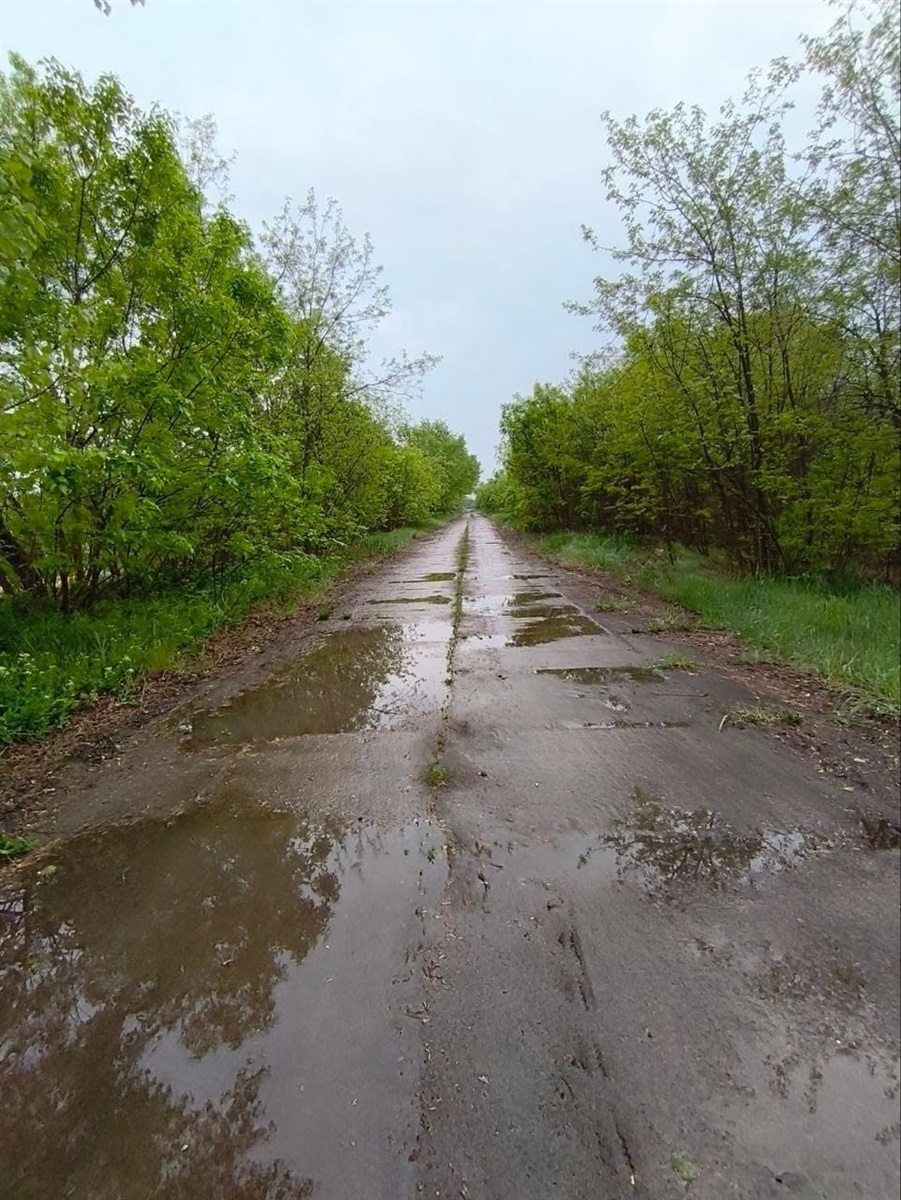 У Повстанському провели фотоконкурс: природа очима дітей