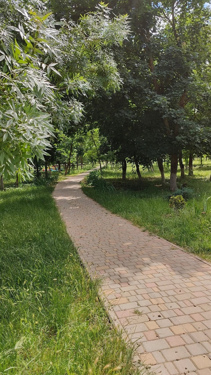 У Повстанському провели фотоконкурс: природа очима дітей