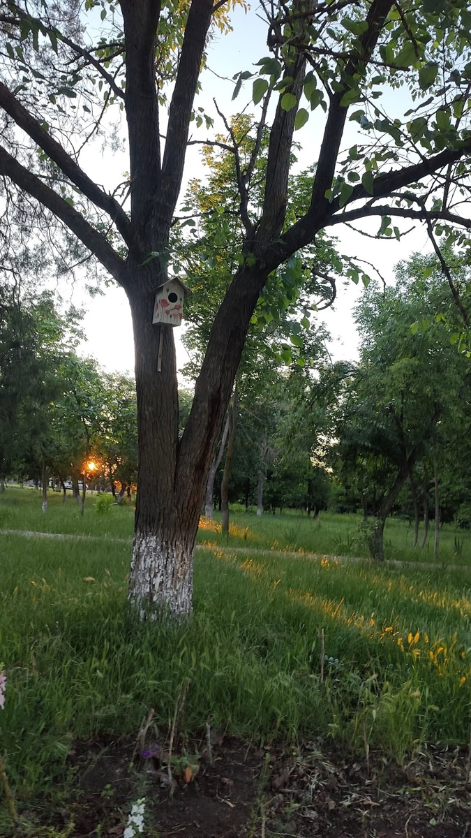 У Повстанському провели фотоконкурс: природа очима дітей