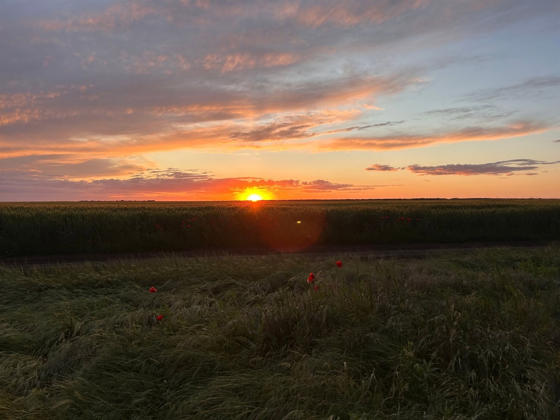 У Повстанському провели фотоконкурс: природа очима дітей