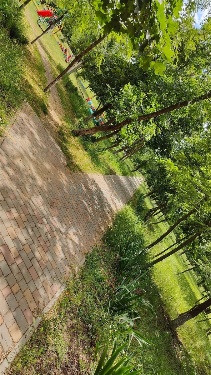 У Повстанському провели фотоконкурс: природа очима дітей