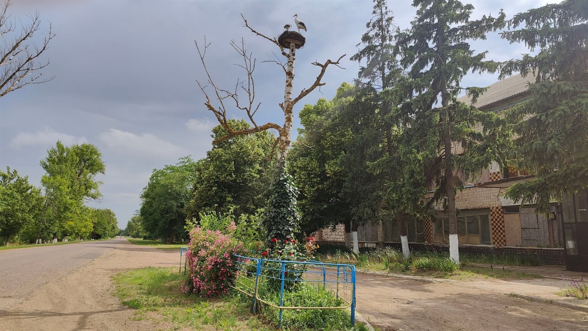 У Повстанському провели фотоконкурс: природа очима дітей