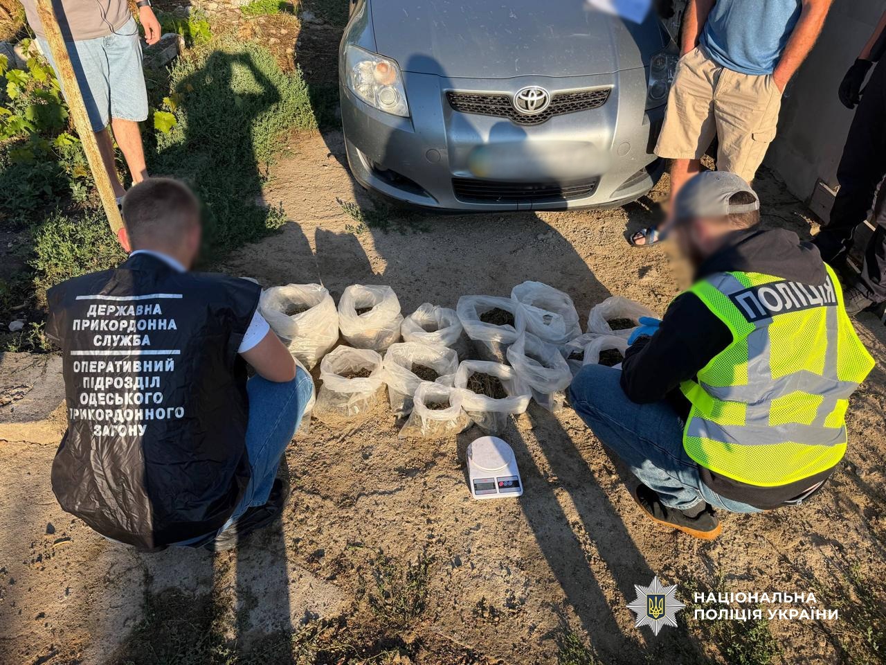 Спецоперація «Джентльмени» на Одещині: вилучили тисячі кущів конопель та 35 кг канабісу