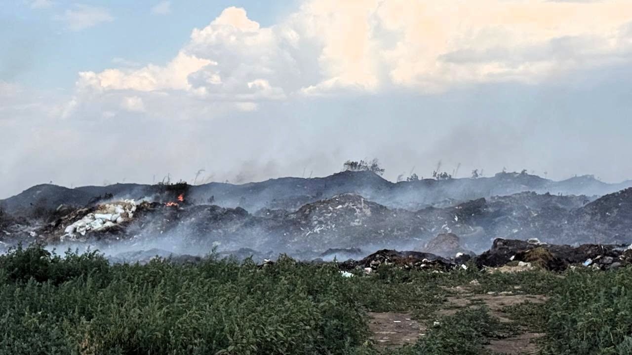 В Білгород-Дністровському районі палало сміттєзвалище: вогонь знищив ліс і поля